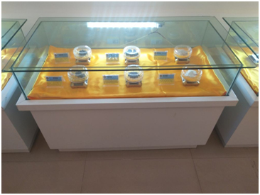 GA黄金甲·(中国区)官方网站