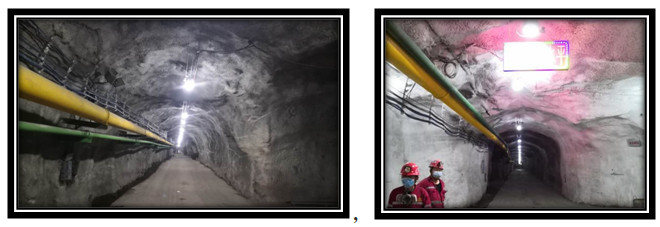 GA黄金甲·(中国区)官方网站