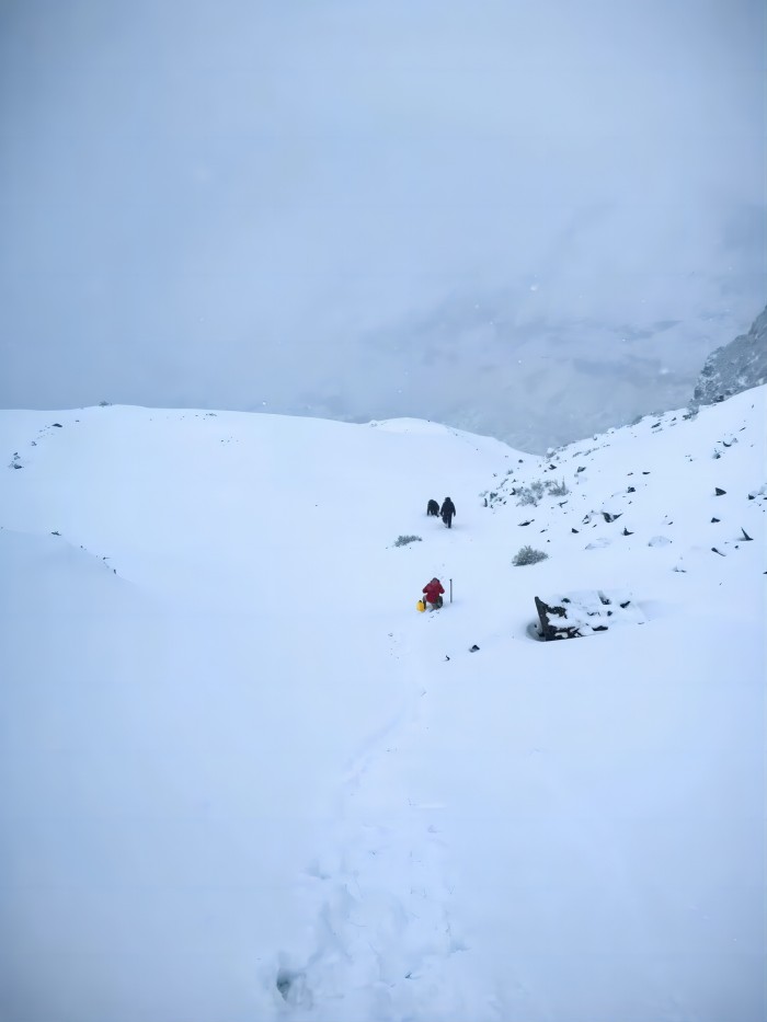 GA黄金甲·(中国区)官方网站