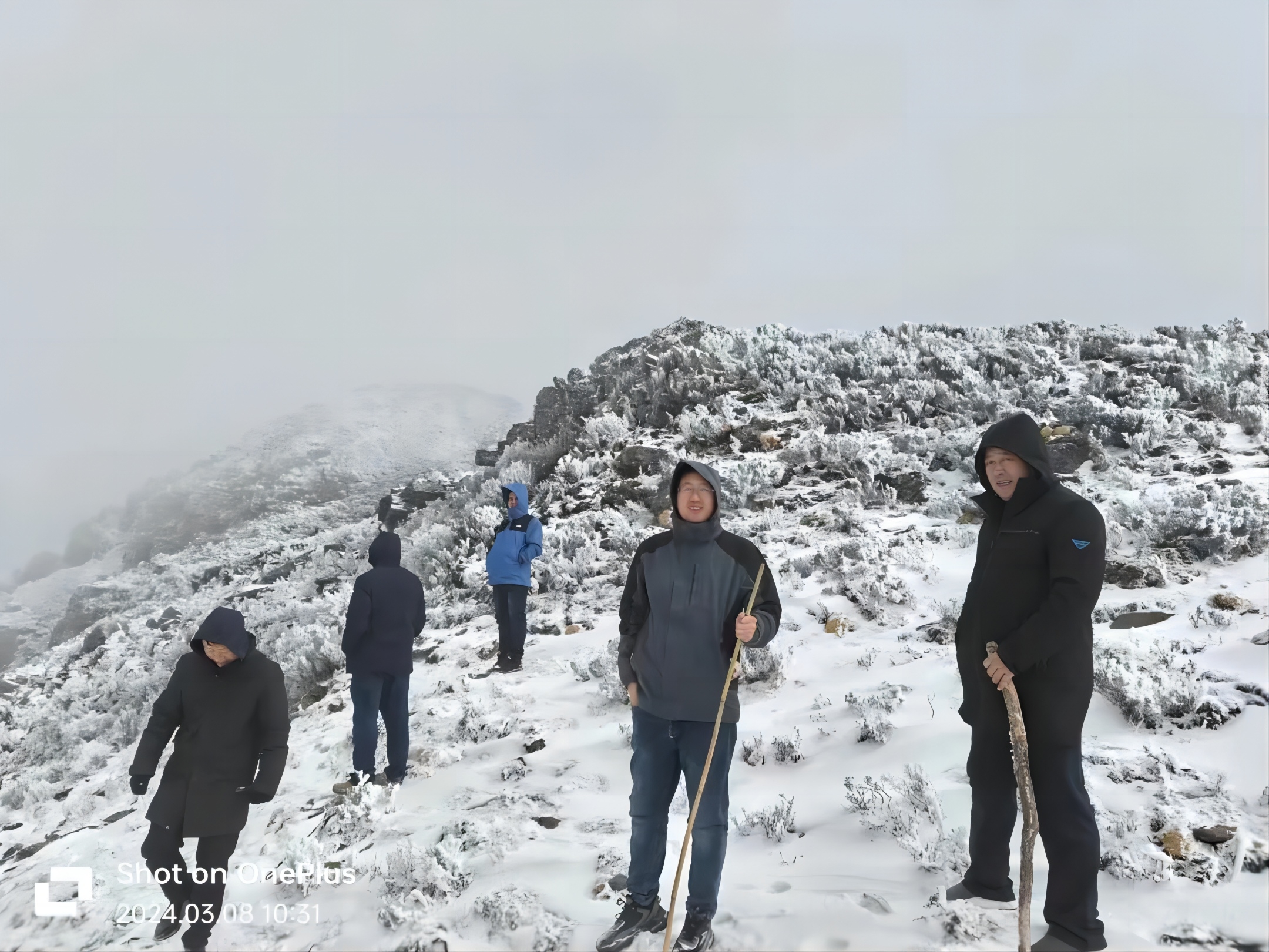 傲雪凌霜，只为佑字”