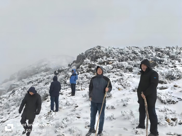GA黄金甲·(中国区)官方网站