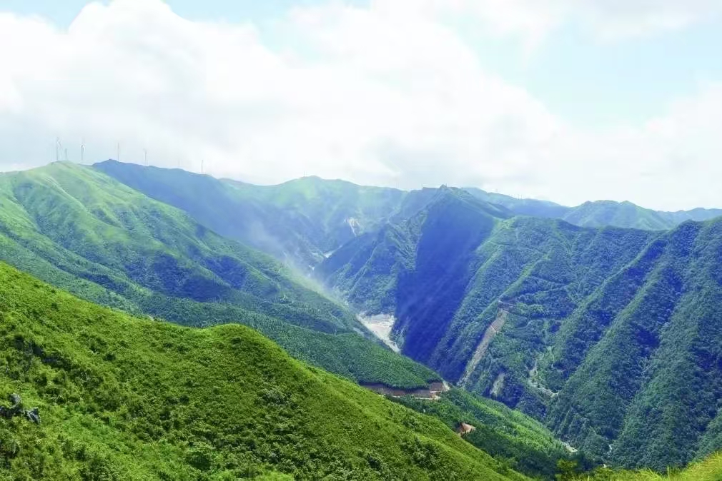 ea624353751902e78d9248a39745c7b9